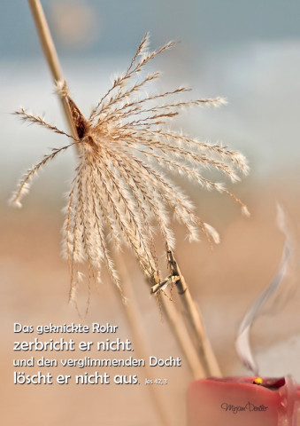 Rückseite Ostern 26